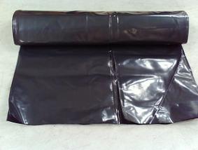 Click here to return to the RMCSPL home page